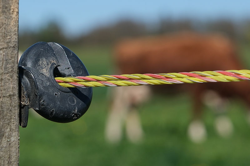 electric farm fencing
